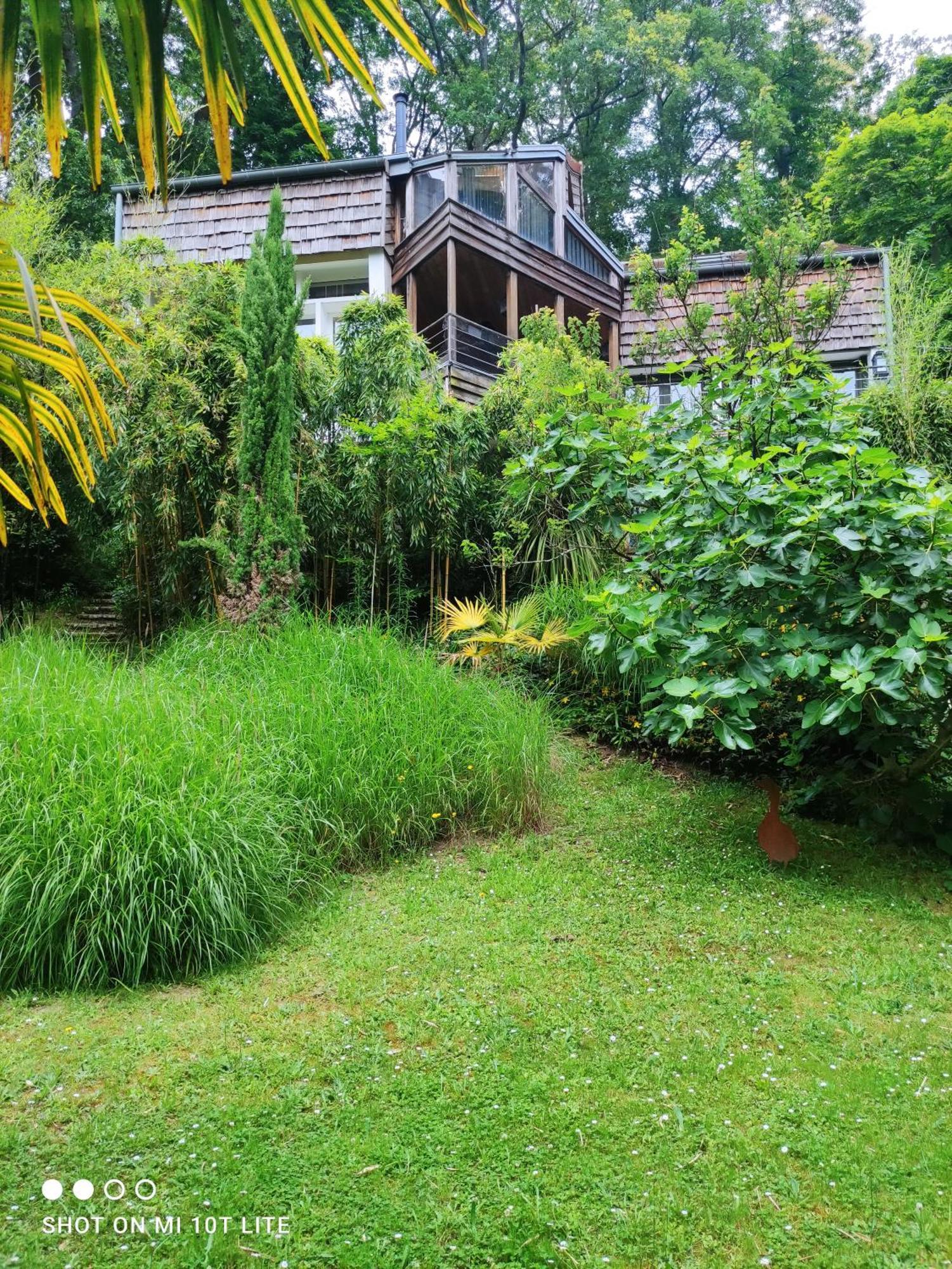 Maison Des Bois Bievres Esterno foto